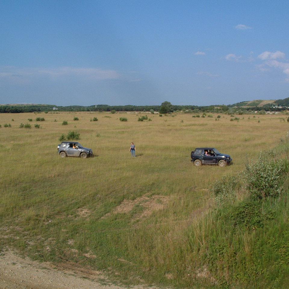 110.jpg