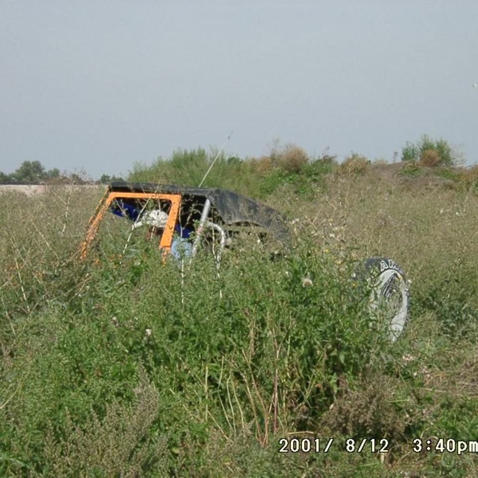 124.jpg