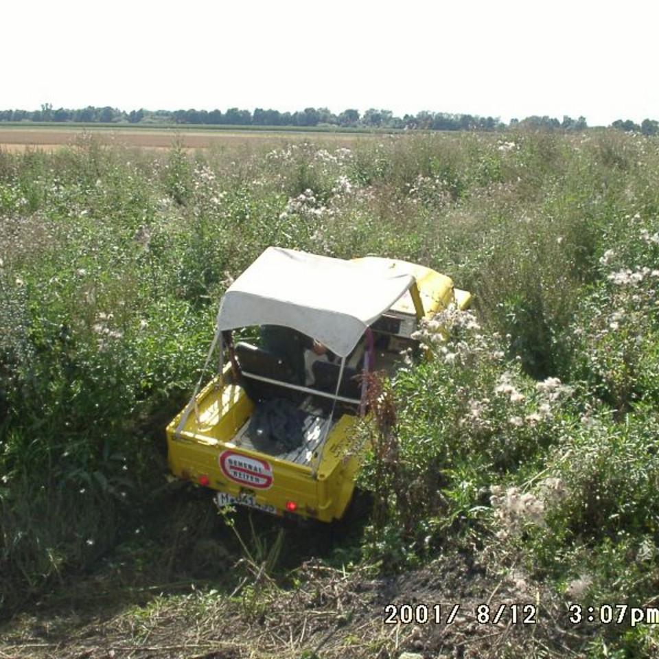 131.jpg