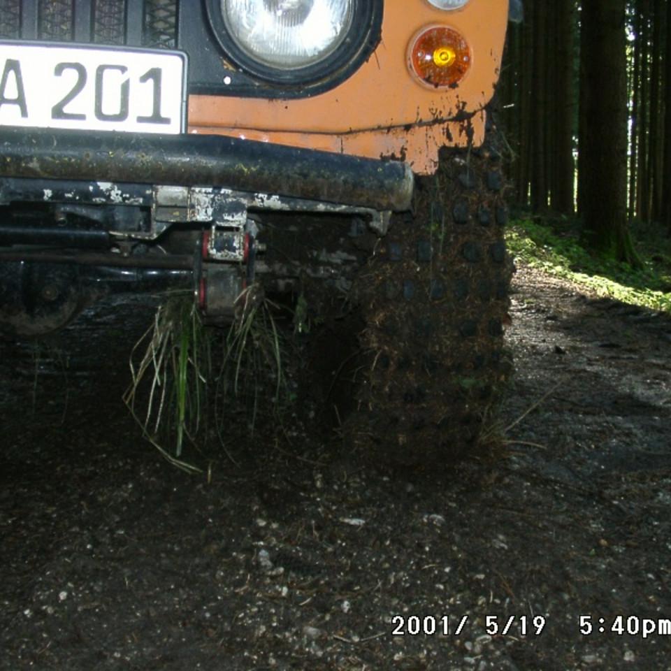 113.JPG