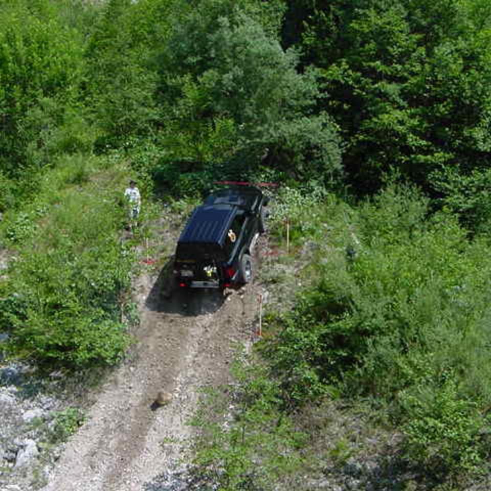 164.JPG