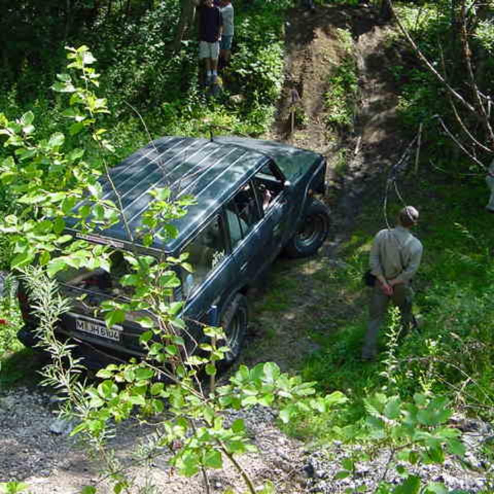 194.JPG