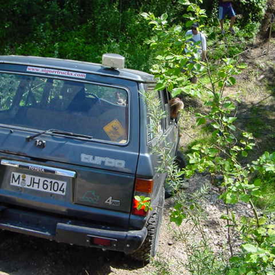 195.JPG