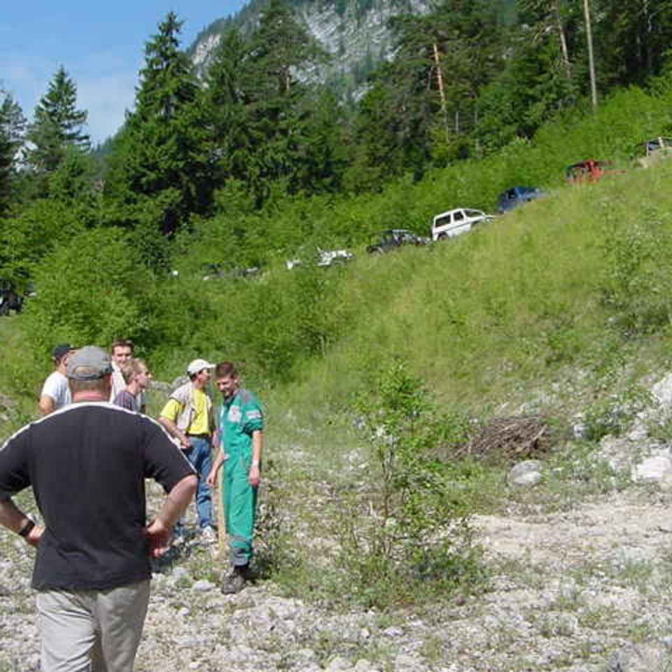 203.JPG