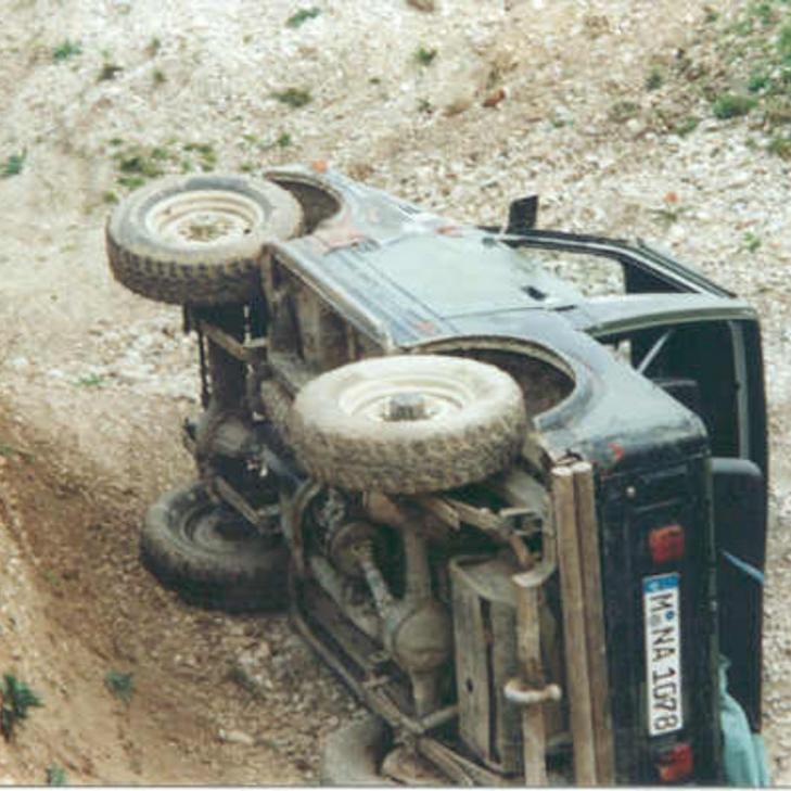 113.jpg