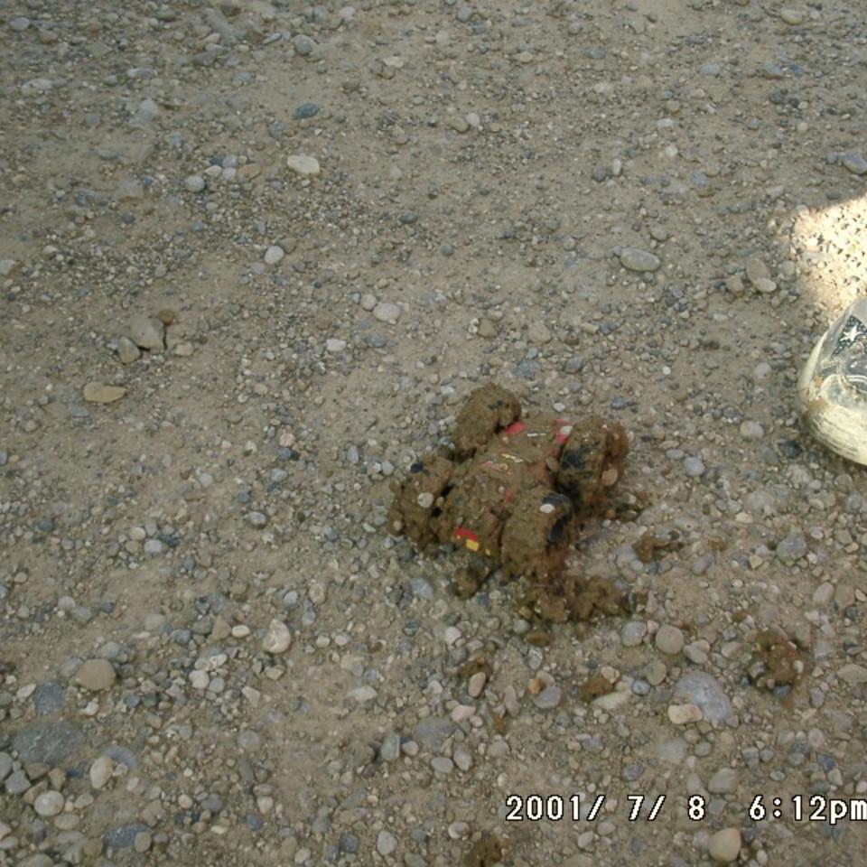 144.JPG