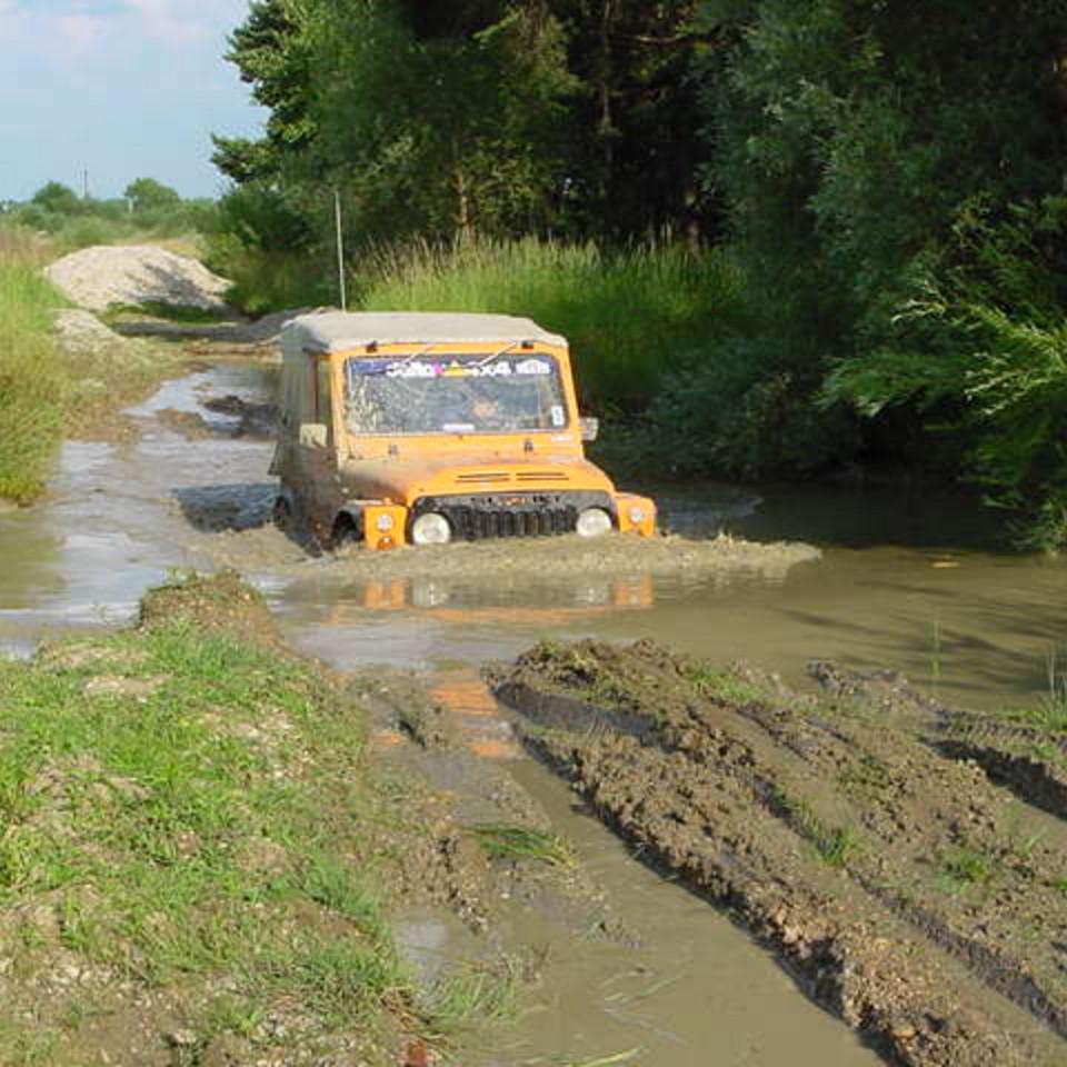 174.JPG