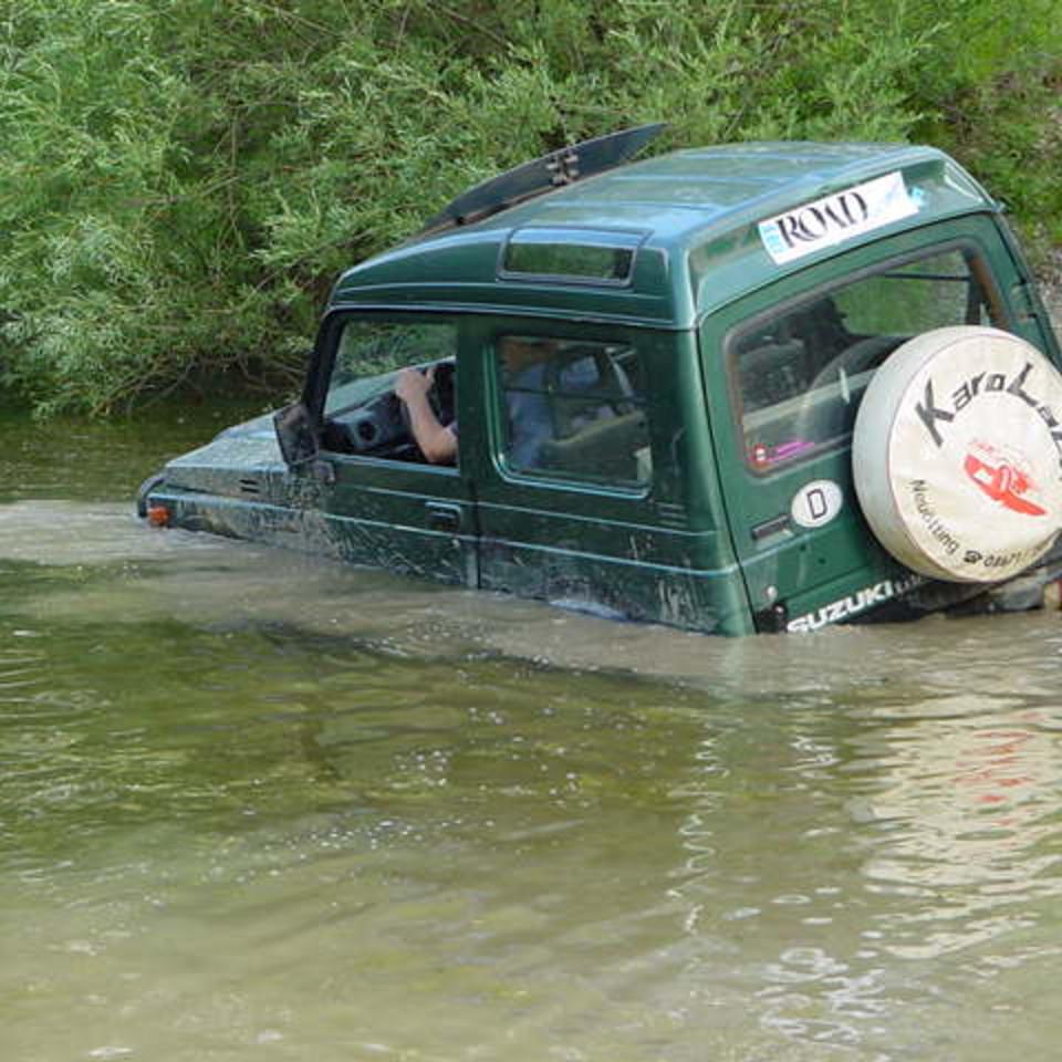 181.JPG