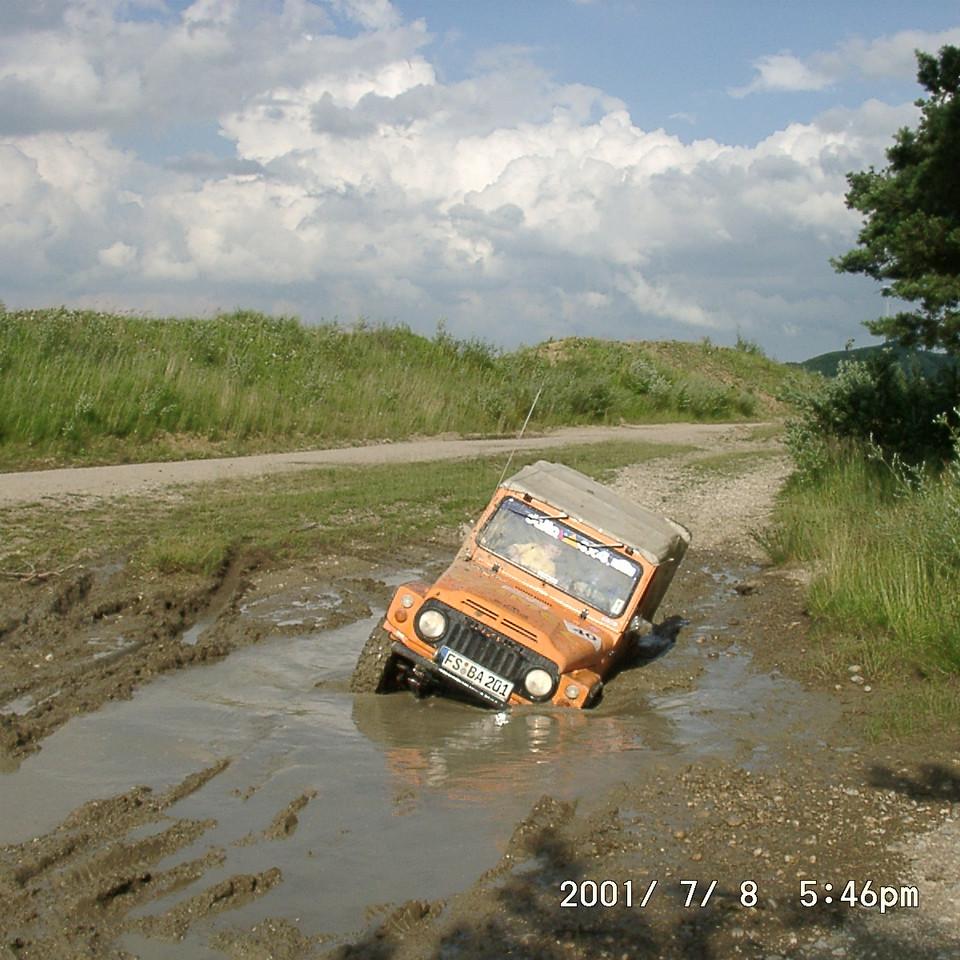 131.JPG