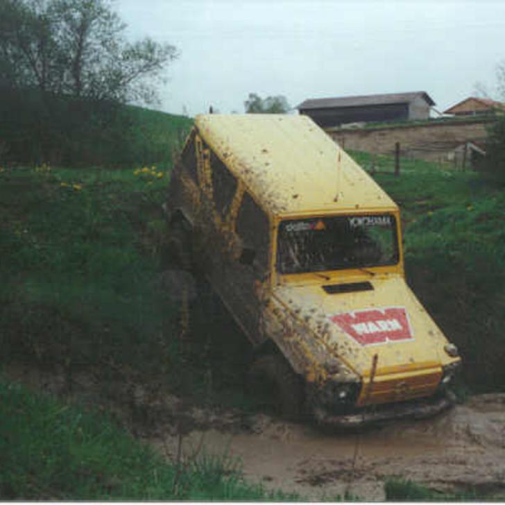 115.jpg