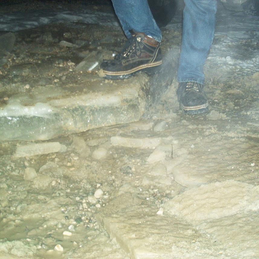 118.jpg