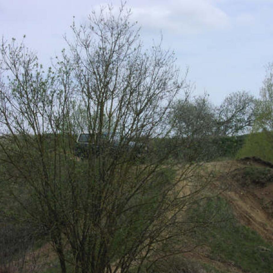 166.JPG