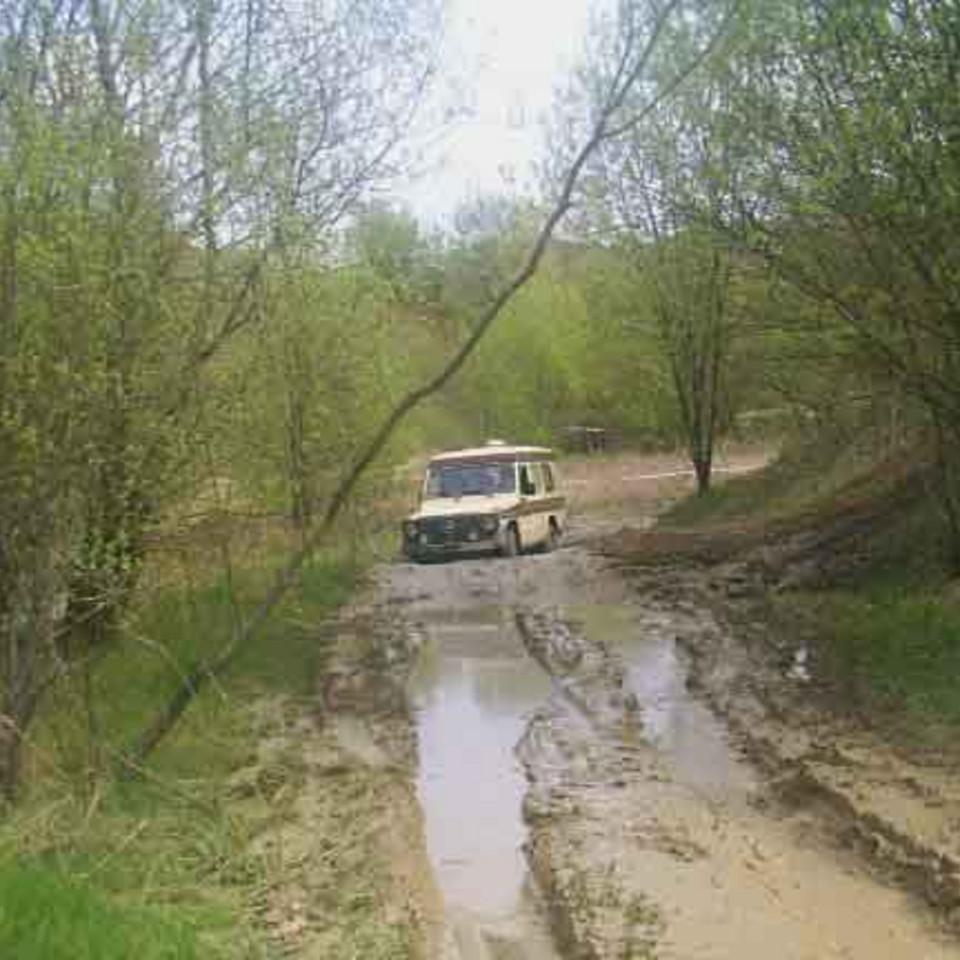 227.jpg