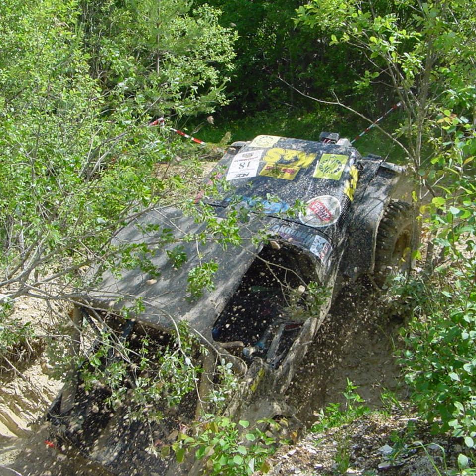 229.JPG
