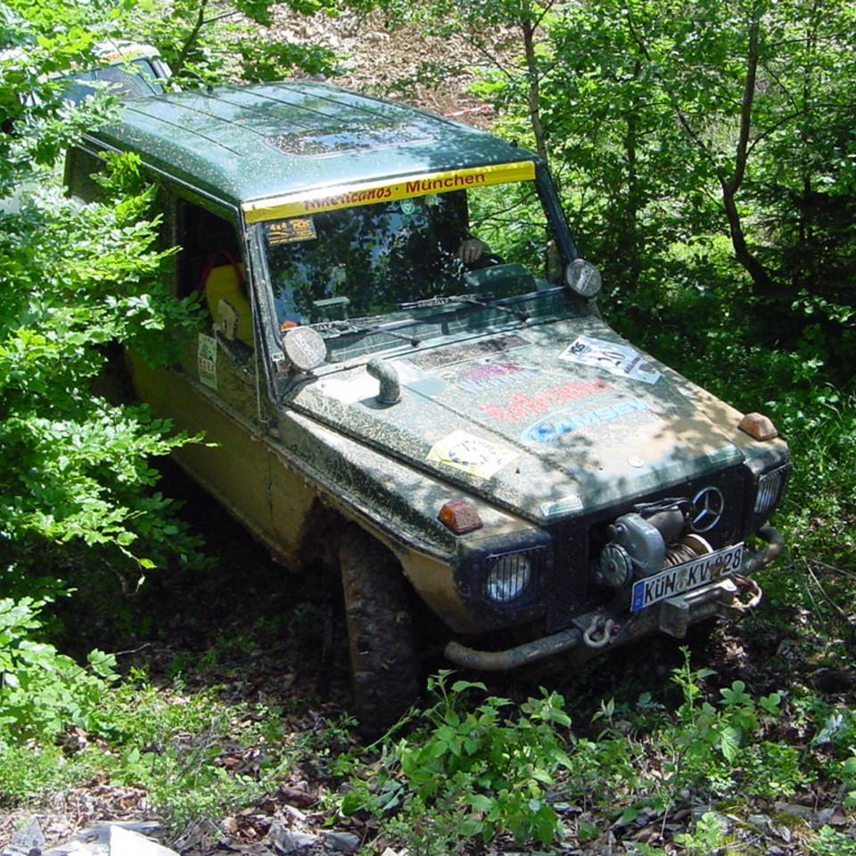 241.JPG