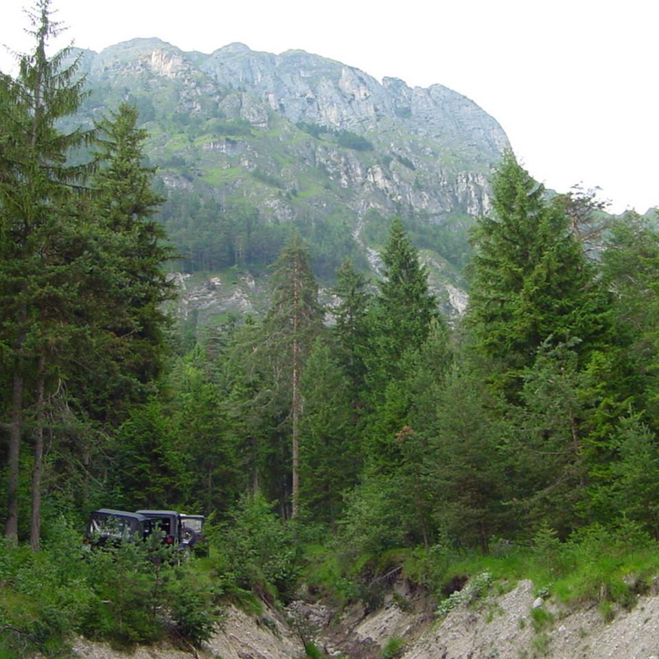 107.JPG