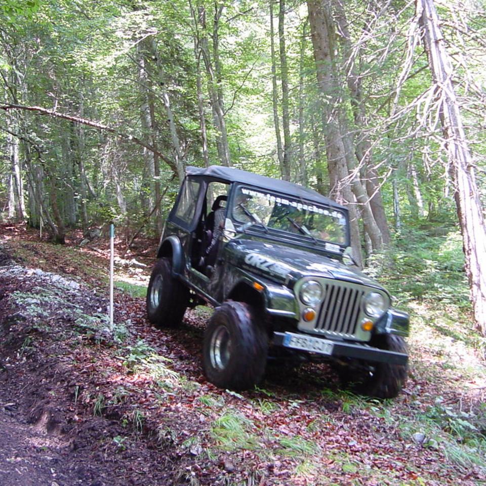 135.JPG