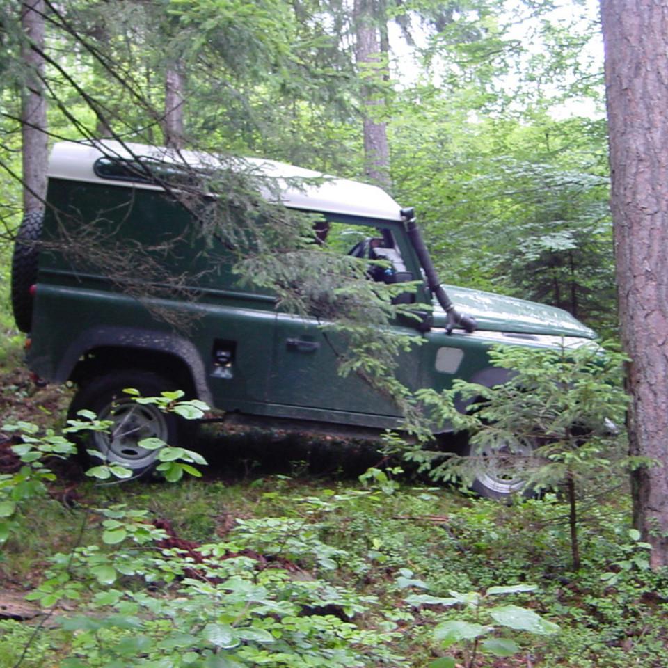 173.JPG