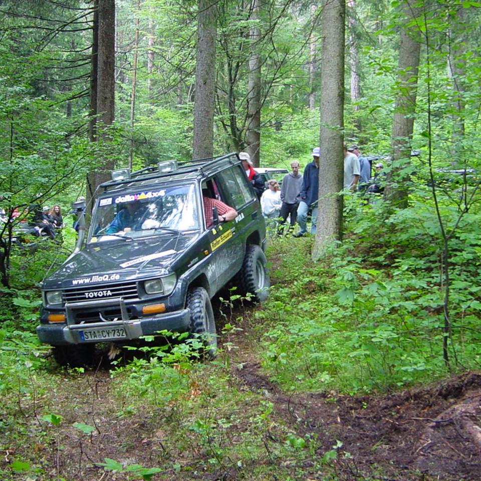 175.JPG