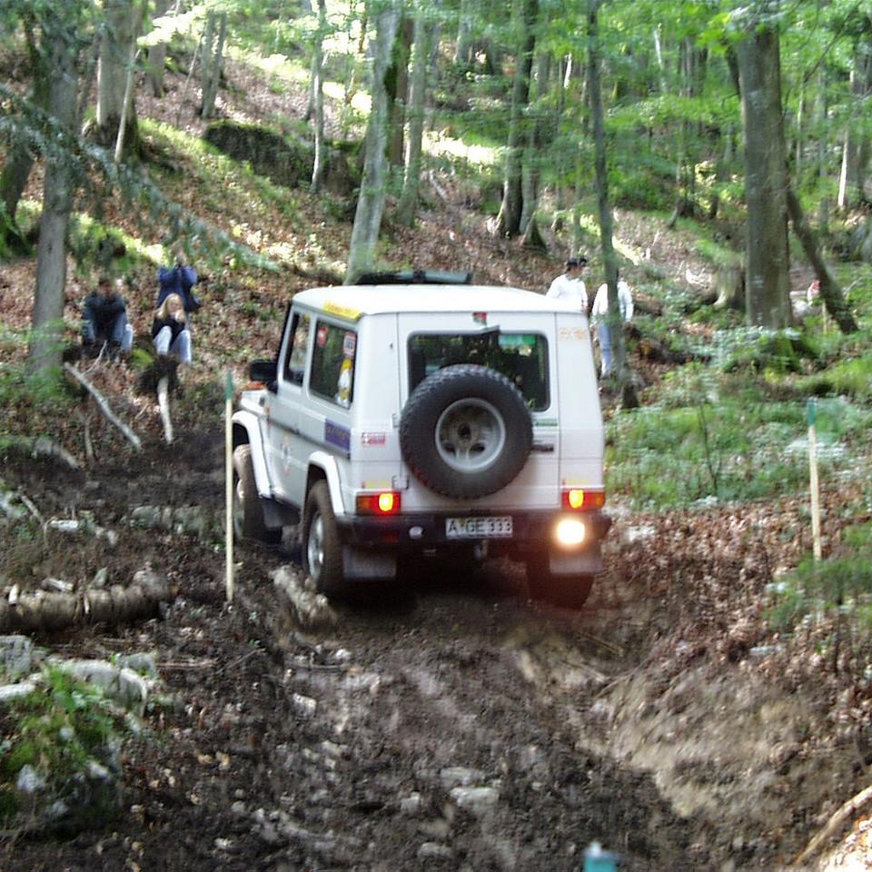 195.JPG