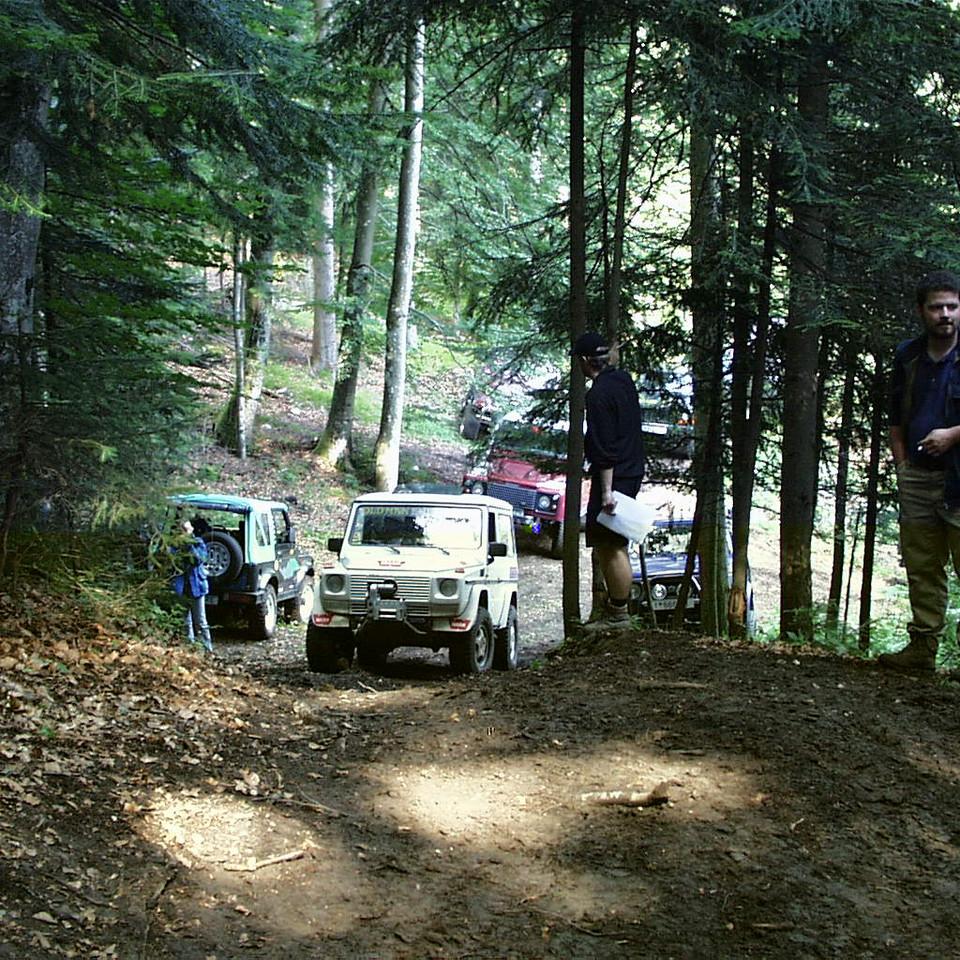 196.JPG