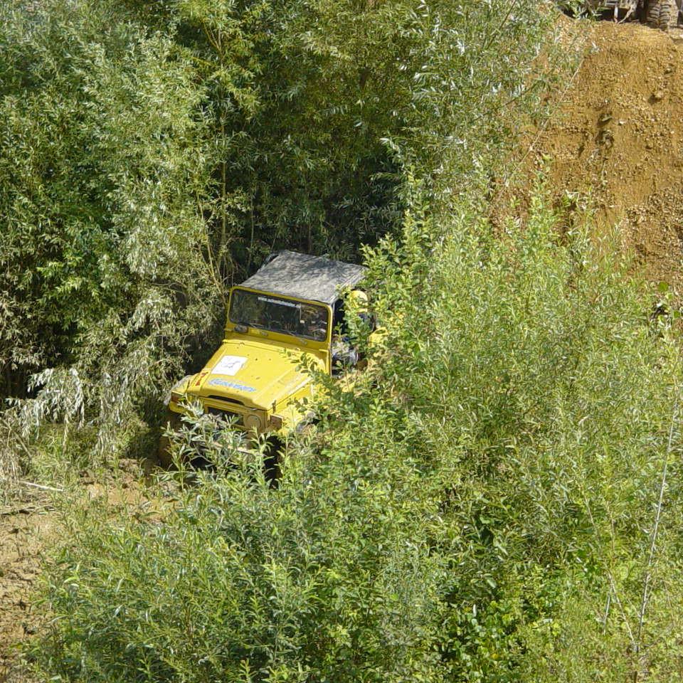 209.JPG