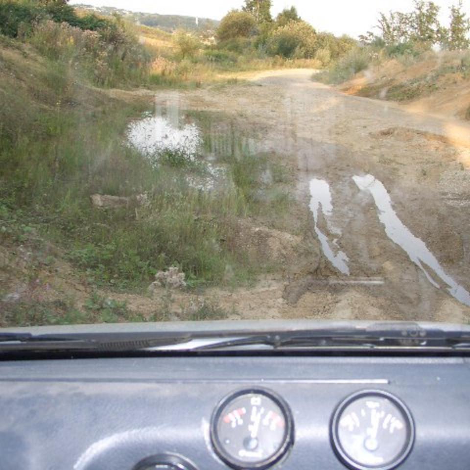 116.jpg