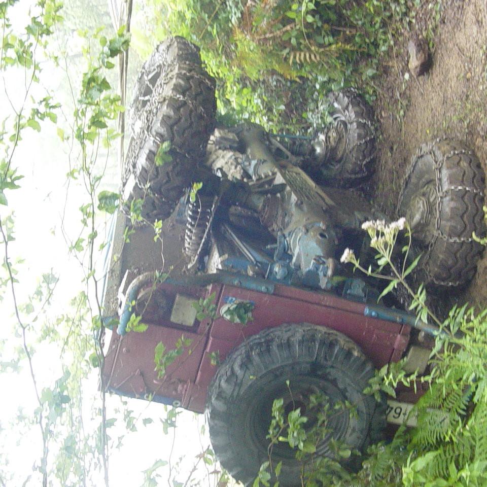 135.JPG