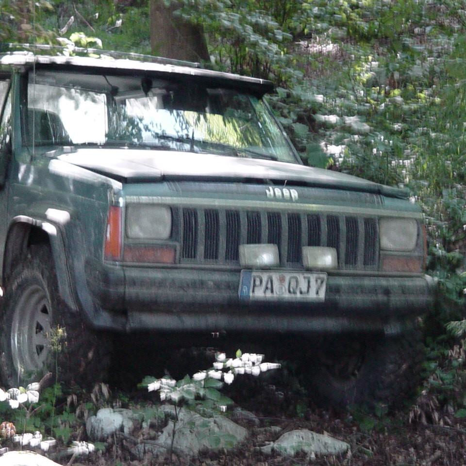 154.JPG