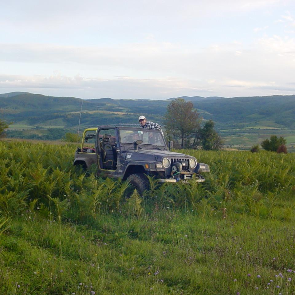 191.JPG