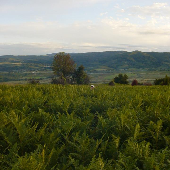 192.JPG