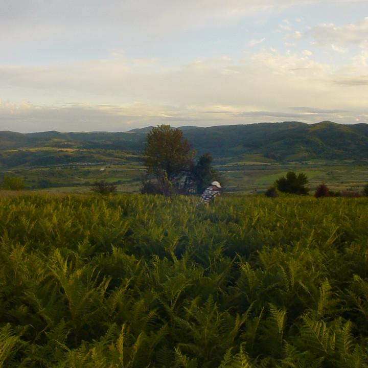 193.JPG