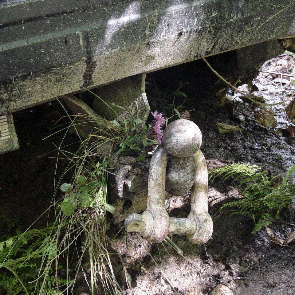 238.JPG