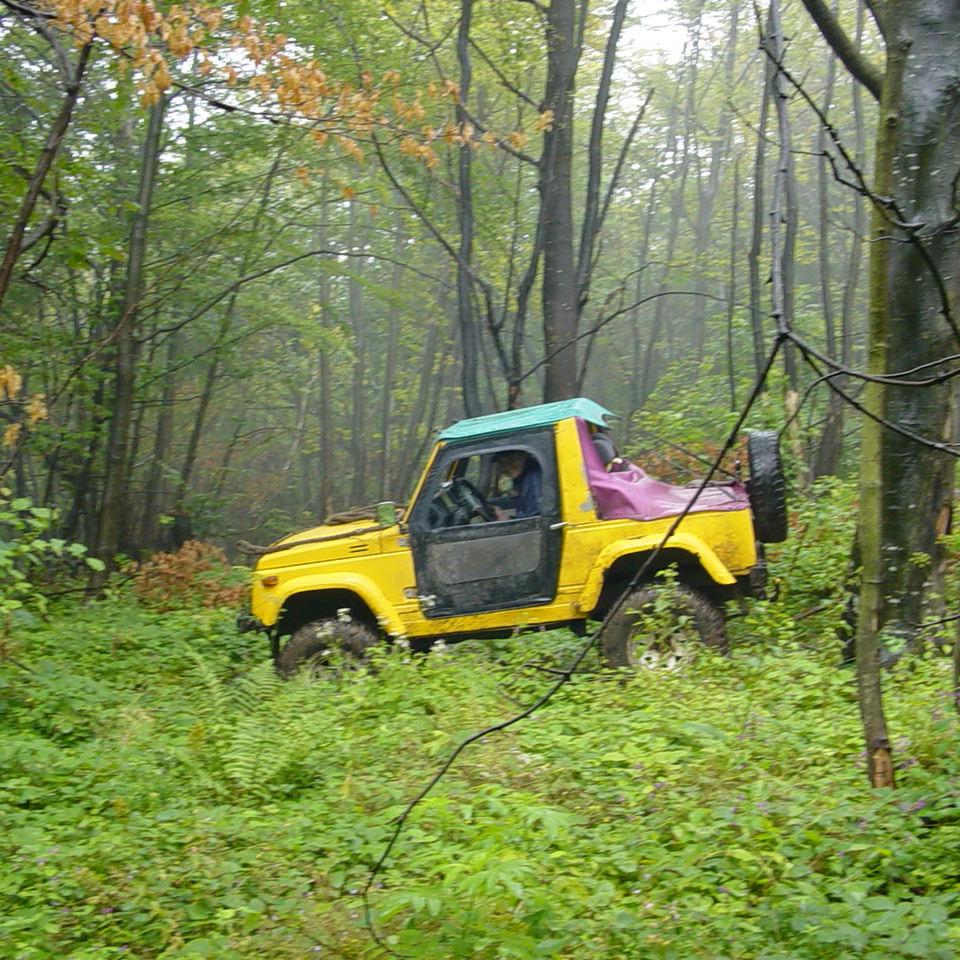 246.JPG
