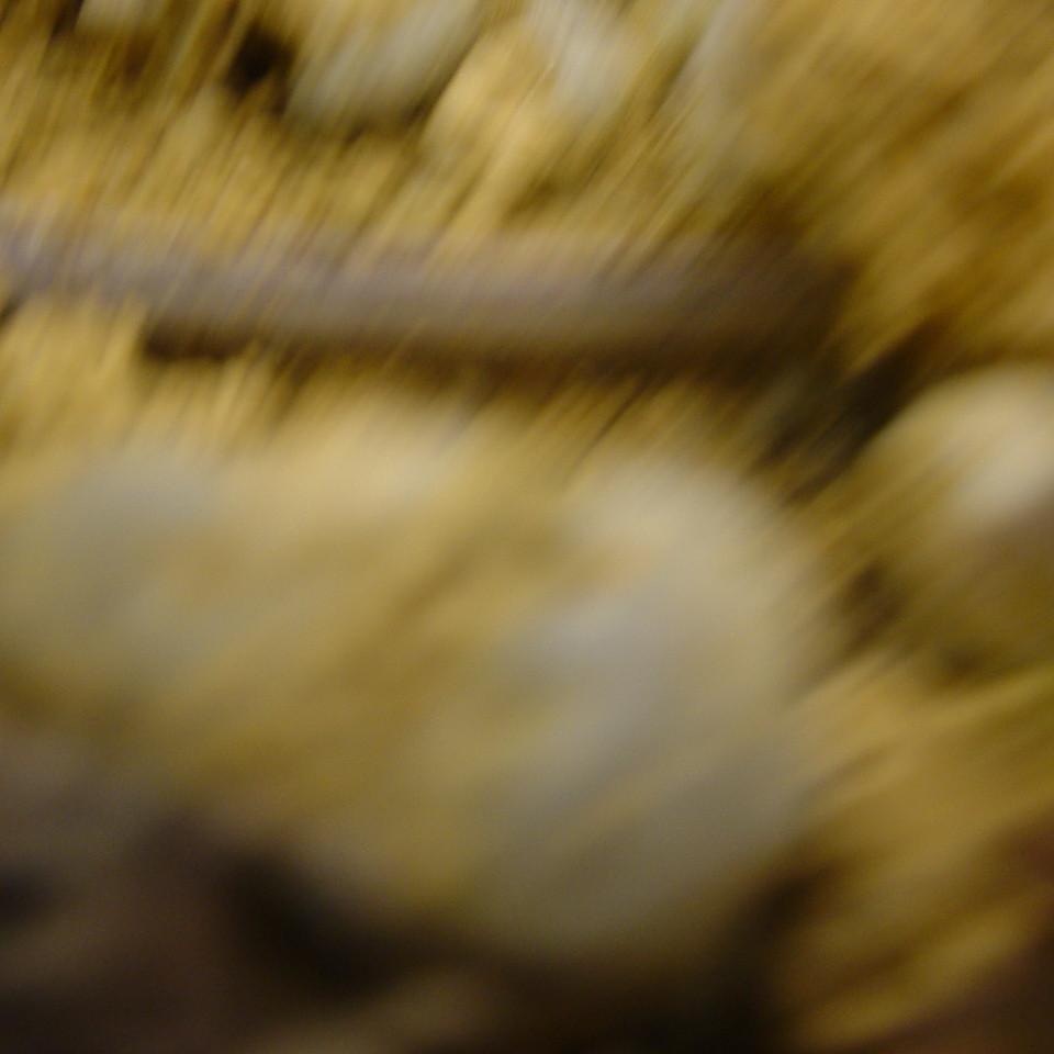 286.JPG