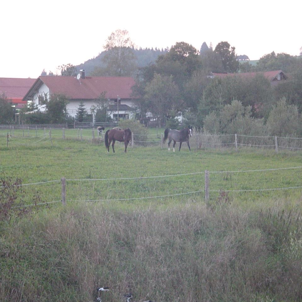 104.JPG