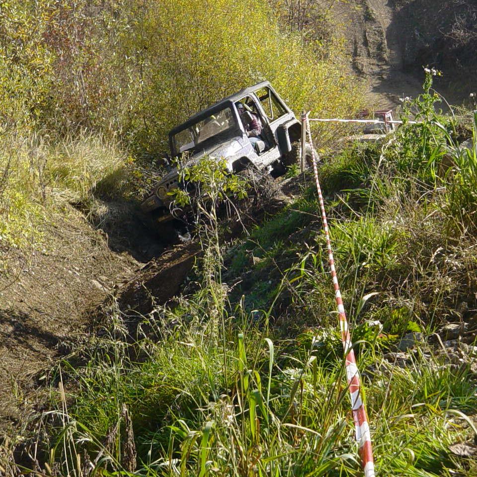 225.JPG