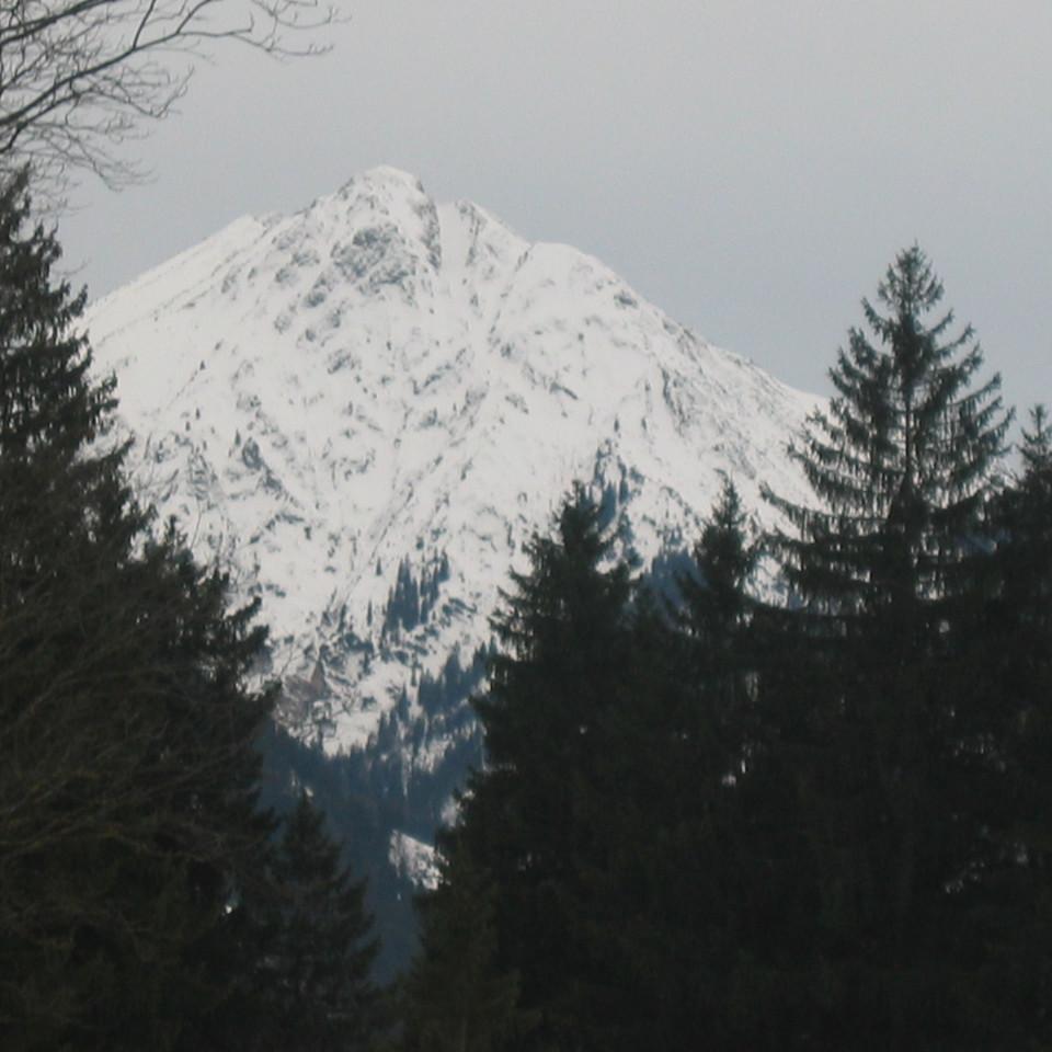 109.jpg