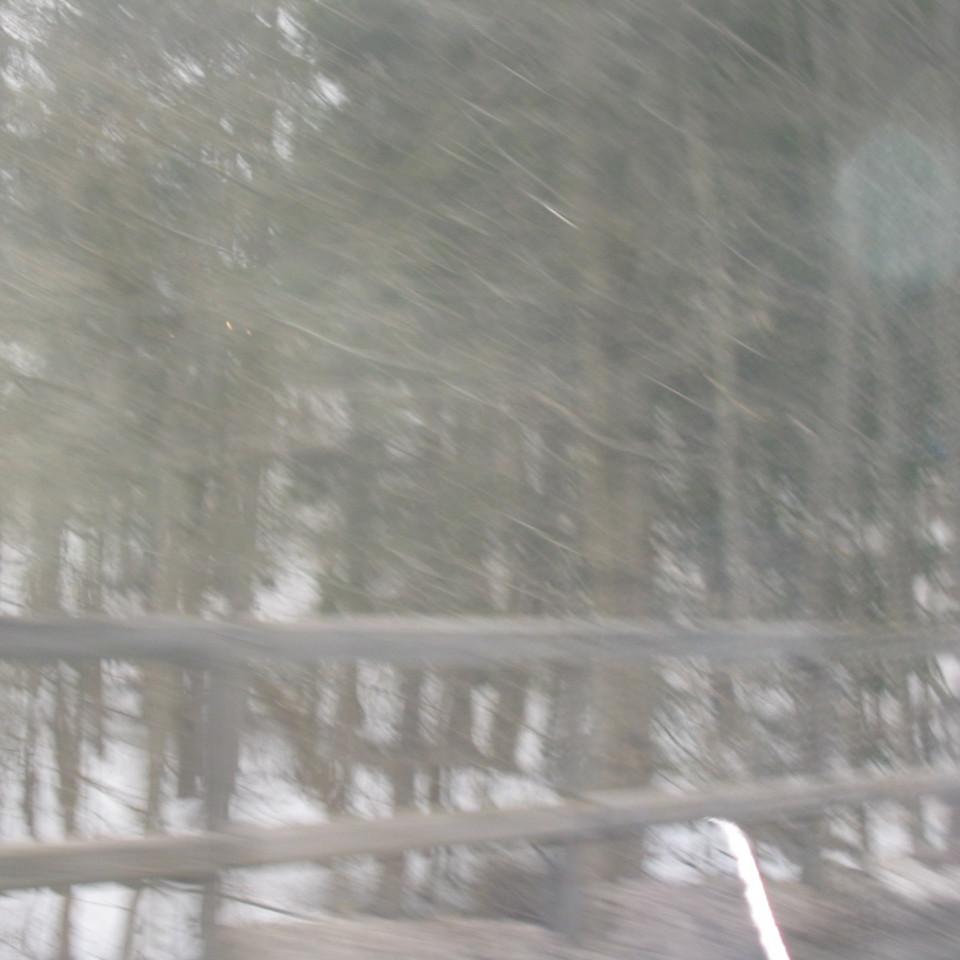 110.jpg
