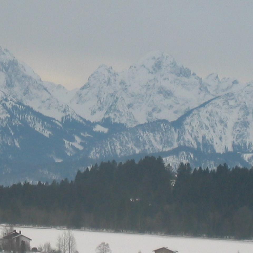 117.jpg