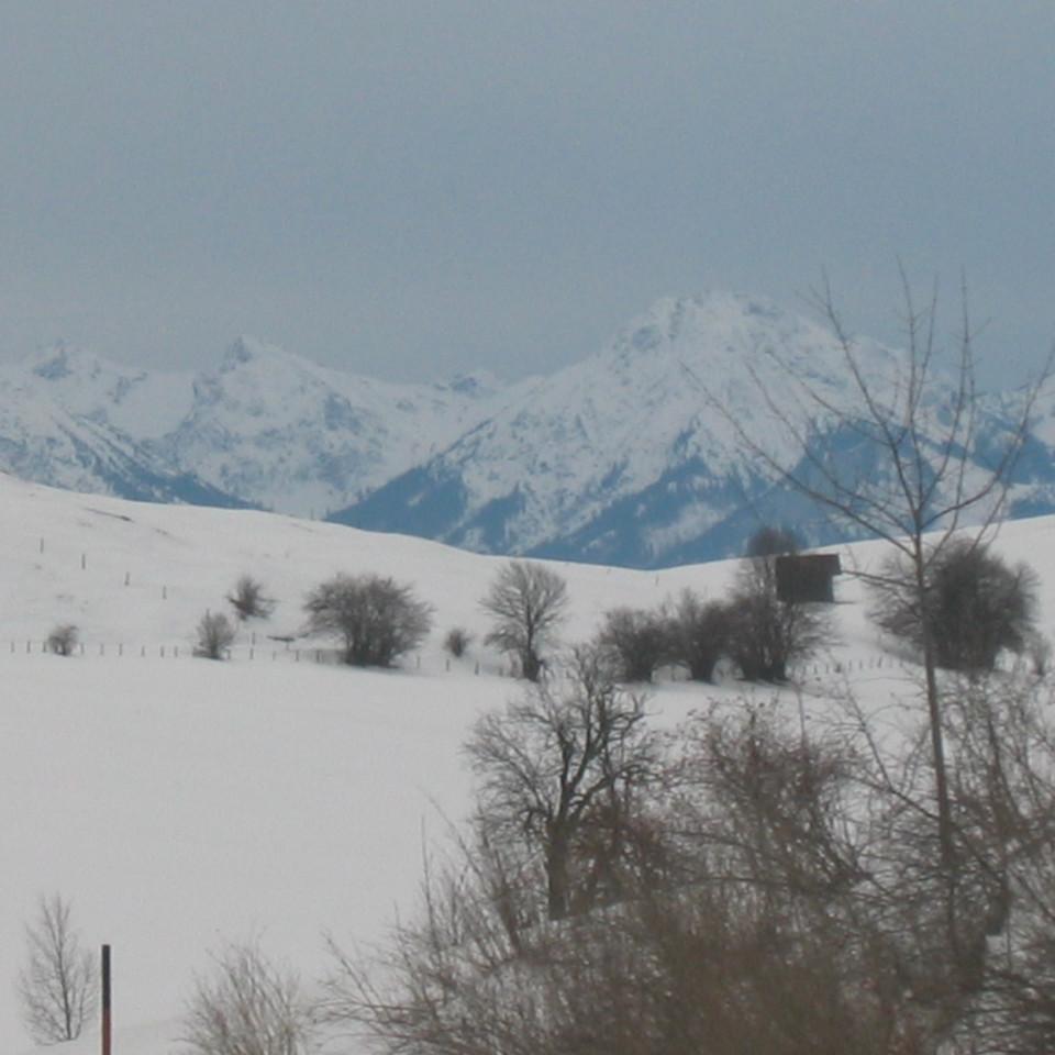 120.jpg