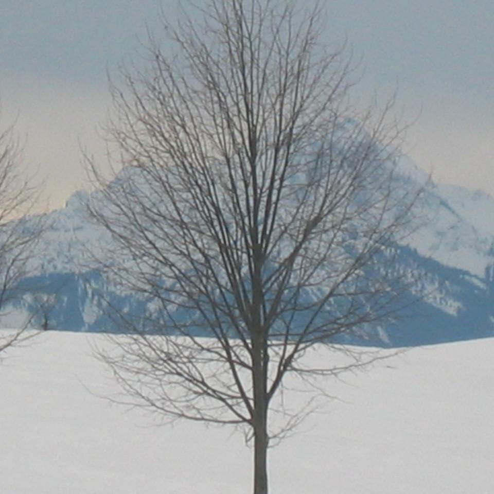 123.jpg
