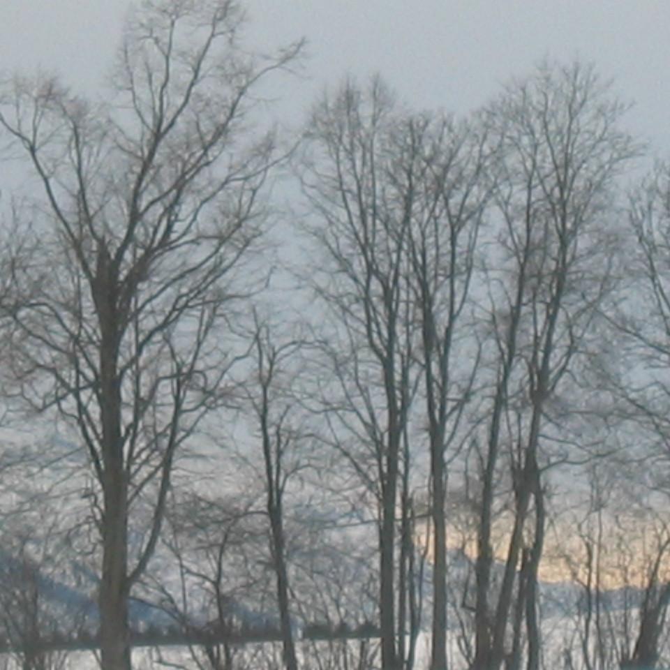 127.jpg