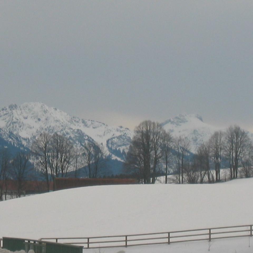 128.jpg