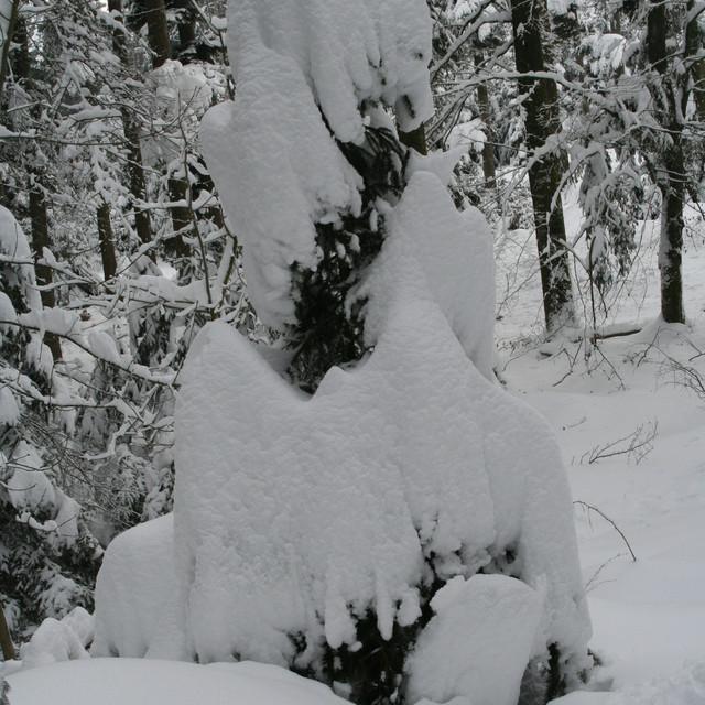 121.JPG