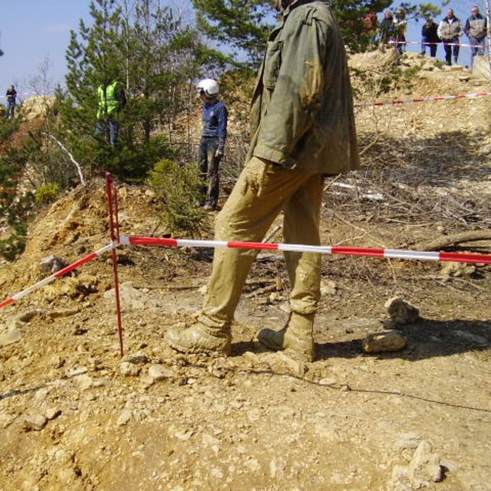 161.JPG