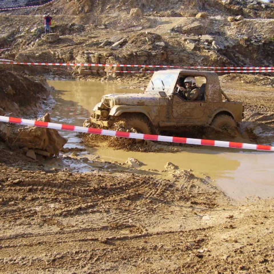 275.JPG