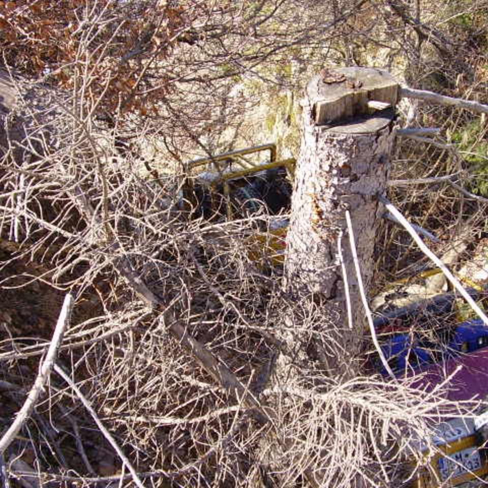 225.JPG