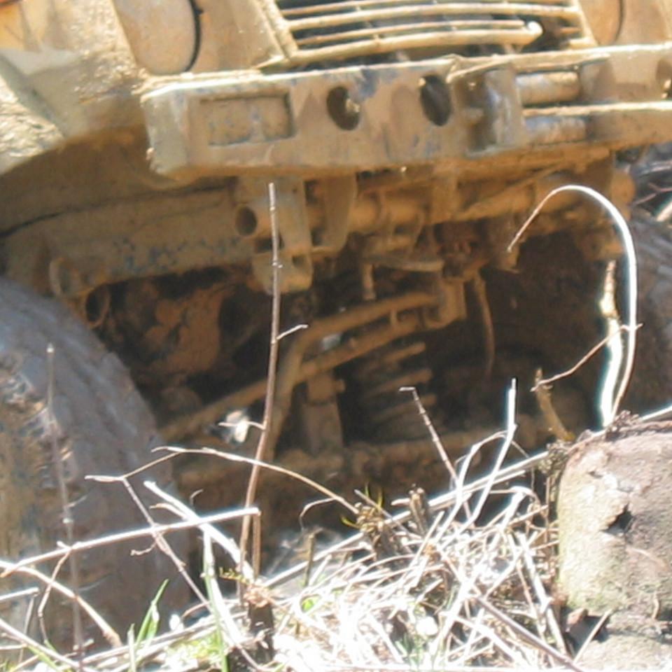 355.jpg