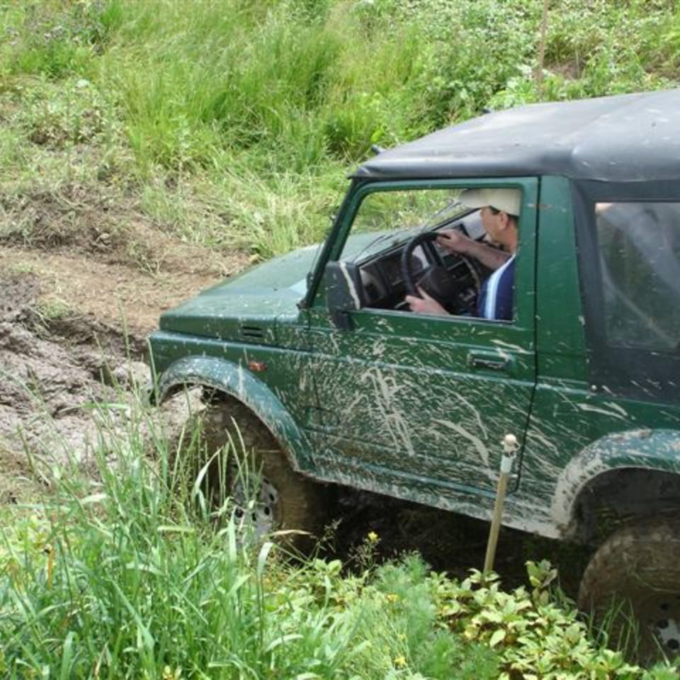 264.JPG